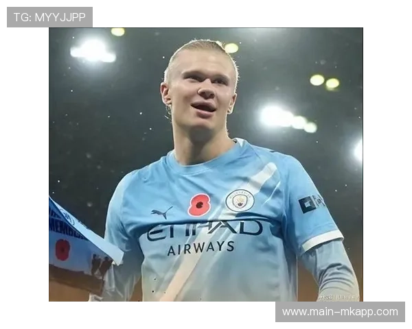 哈兰德连续冲击防线